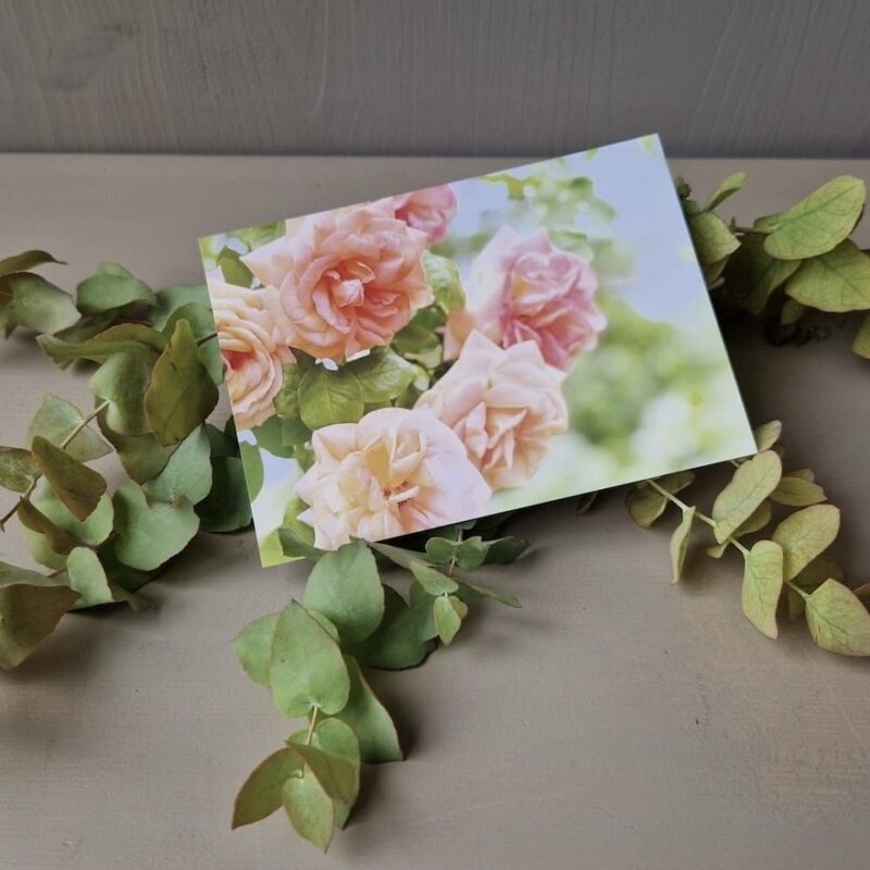 Postkarte mit rosa Rosen auf Holztisch, umgeben von Eukalyptusblättern, Natur- und Blumendekor.