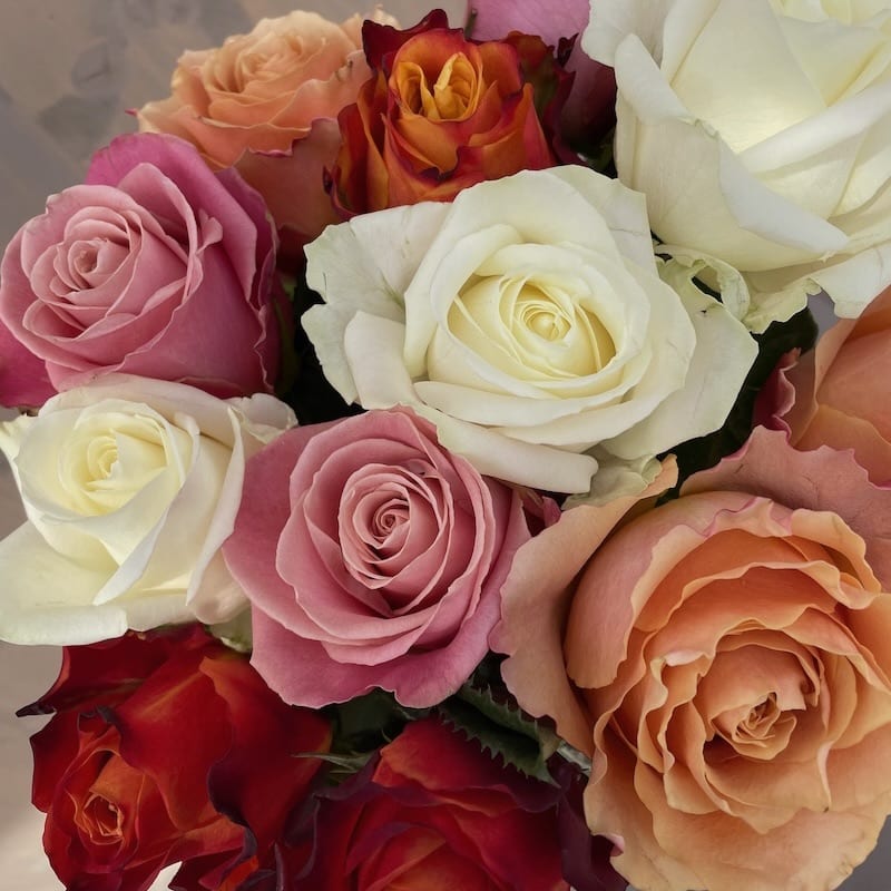 Bunte Rosenblüten in Rosa, Weiß, Orange und Rot, die Lebendigkeit und Schönheit in einem Blumenstrauß vereinen.