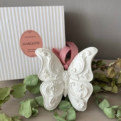 Dekorativer Schmetterling aus Gips vor einer eleganten Geschenkbox, umrahmt von grünen Blättern.