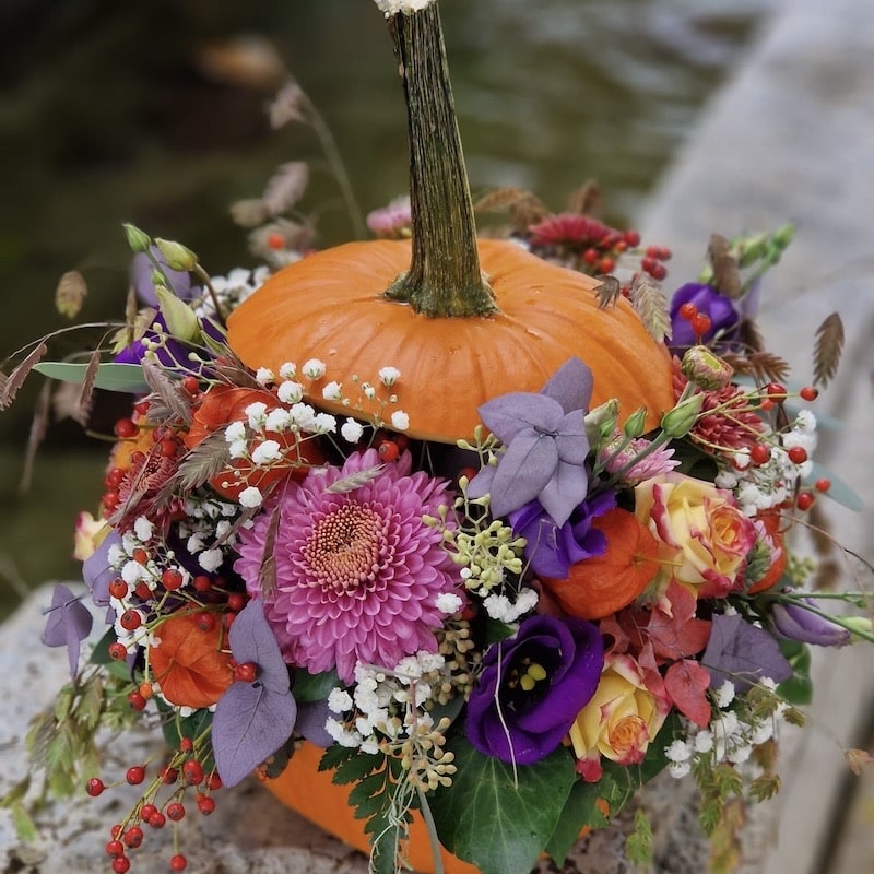 Herbstliche Blumendekoration in einem Kürbis, gefüllt mit bunten Blumen und Beeren für stimmungsvolle Herbstatmosphäre.