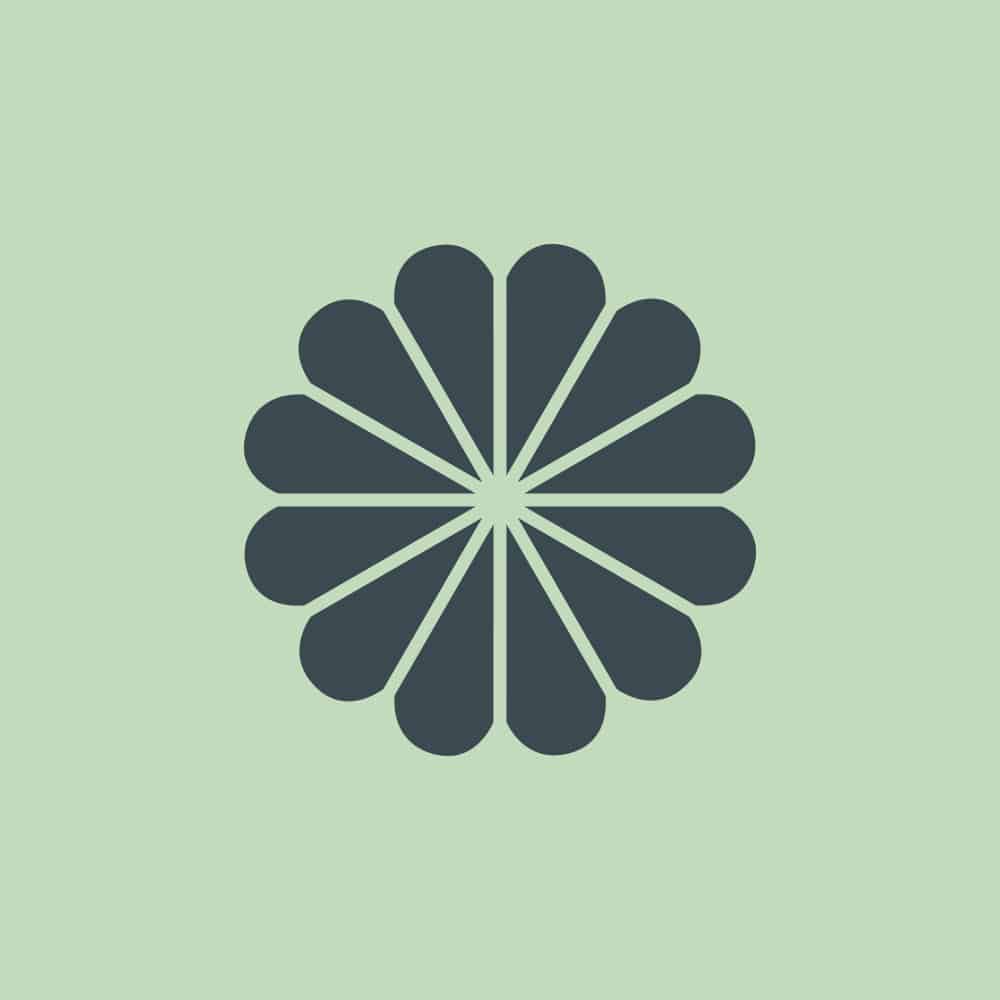 Abstraktes Blumen-Design mit 16 symmetrisch angeordneten Blütenblättern auf hellgrünem Hintergrund.